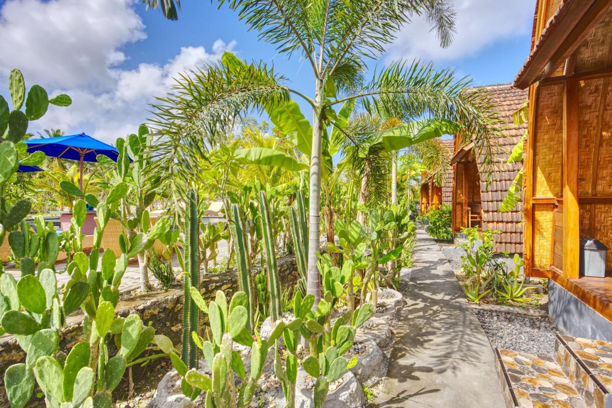 Kira Cottages Sakti Exterior foto